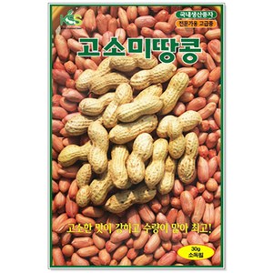 고소미땅콩 30g, 1개