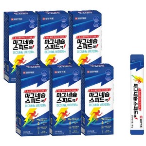 일양약품 마그네슘 스피드액 14p, 280g, 6개