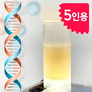 DNA 추출 실험 키트 5인용 과학교구 실험교구