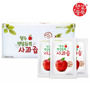 영주 햇살듬뿍 사과즙 100mlx30포 (4세트), 3L