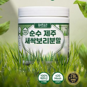 자연밭담 순수 제주 새싹보리 분말 에어분쇄, 170g, 3개