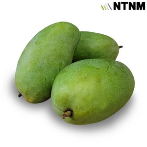 엔티몰 베트남 그린망고(Vietnam Green Mango), 1개, 1kg