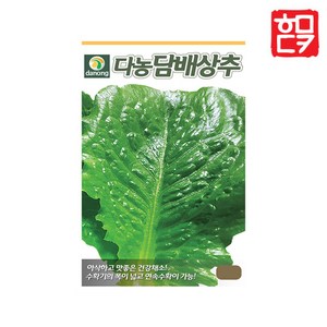 호미닷컴 엽채류 채소씨앗 모음 엽채류씨앗 종자 상추씨앗 상추씨 채소씨 채소재배 텃밭 주말농장, 담배상추 3g, 1개