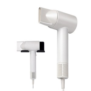 발루아 BLDC 음이온 경량 헤어 드라이기 저소음 벽걸이 겸용 드라이어 미용실 여행용