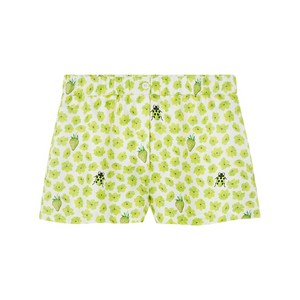 베르사체 스트로베리 가든 실크 복서 쇼츠, 화이트계열+그린계열, Italy 42(KR 66)