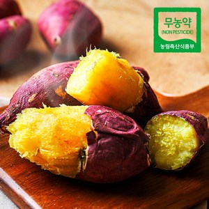 김의준고구마 무농약 꿀고구마 영암 세척고구마, 꿀고구마 5kg(중)90g~150g, 1개