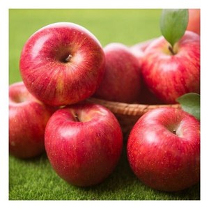 착한식탁 못생겨도 달콤한 경북 주스용 부사사과 10kg 랜덤과 10kg 1개