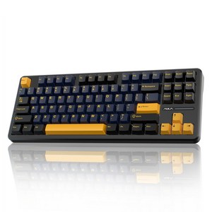 AULA F87 RGB 기계식 3모드 키보드