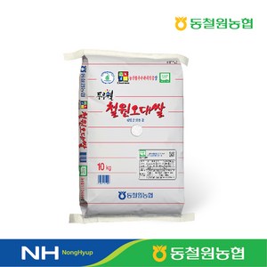 [택배출고일 당일도정] 2024년산 동철원농협 철원오대, 1개, 상등급, 10kg
