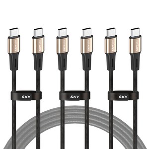 SKY 비트 60W PD PPS C타입 고강도 패브릭 초고속충전 골드 메탈 케이블