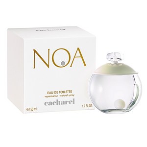 까사렐 노아 EDT, 100ml, 1개