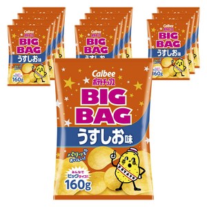 가루비 빅백 감자 칩 소금 맛 160g x 12봉 포테이토 빅 사이즈, 160g, 12개