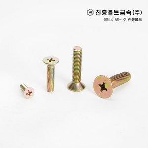 일반 접시머리 볼트 사라볼트 (6mm ~ 100mm) M3 M4 M5 M6 M8 M10 M12, 100mm, 1개