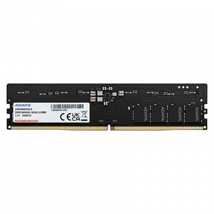 [공식수입사] ADATA DDR5-5600 CL46-45-45 (16GB)