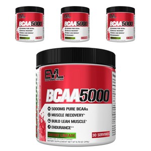 EVLUTIONNUTRITION BCAA 5000mg, 249g, 4개