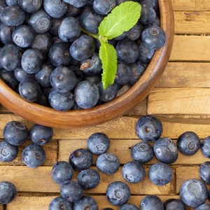 프리미엄 고당도 생블루베리 중대과 14-16mm, 한팩 125g내외, 12개