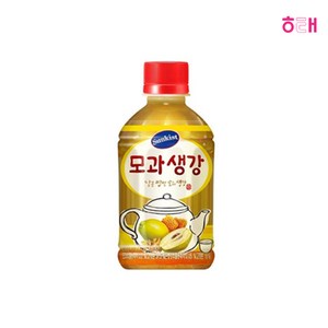 미닛메이드 모과생강, 280ml, 48개