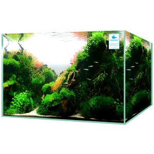 모비딕 유리 어항, 45 x 30 x ..., 1개