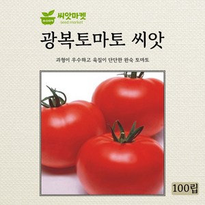 아람종묘 광복토마토 씨앗 100립, 1개