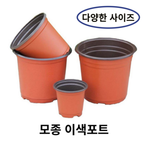 모종 화분 연질 이색포트 (10cm/15cm/18cm), 100개, 15화분