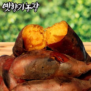 강화도 꿀고구마, 1박스, (왕) 10kg