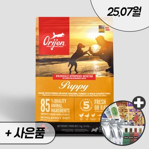 오리젠 퍼피 독 + 우리집상전 사은품, 2kg, 1개, 닭