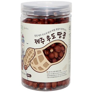 지구마을 제주 우도 볶은땅콩, 450g, 1개