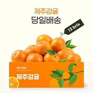 [특품] 프리미엄 제주 감귤 [로얄과] S-M, 1박스, 하우스감귤 1kg