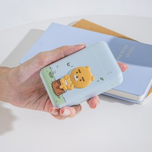 카카오프렌즈 고속 충전 보조배터리 어피치 10000mAh, 02. 라이언