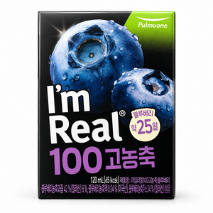 아임리얼 100 고농축 블루베리 48팩, 120ml, 48개