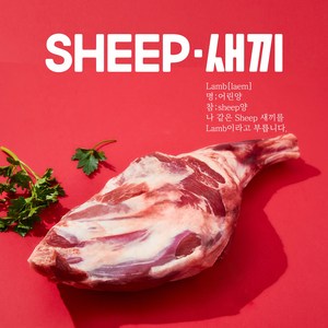 (당일발송)쉽새끼 통 양다리 사태 1-1.8kg + 양념4종무료(냉동), 양사태, 2개, 500g