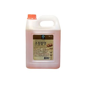 청정원 조청쌀엿, 5kg, 1개