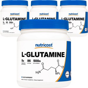 뉴트리코스트 L 글루타민 파우더 블루라즈베리, 500g, 4개
