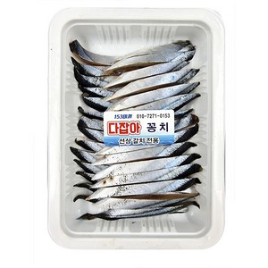 다잡아 꽁치 염장 꽁치 미끼 선상 심해용 갈치 우럭 & 바다 모든 어종에 탁월한 효과, 덕용, 1개