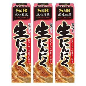 에스앤비 갈아서 넣은 생 마늘, 43g, 3개
