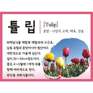 [맑은누리디자인] 꽃팻말-사각형 걸이형-001 (50개이상은 전화문의) 푯말 이름표 화단 꾸미기 표찰 수목 나무 꽃이름, B-사각형-꽂이형-QR코드