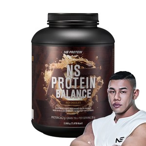 NS 프로틴밸런스 초코맛 단백질보충제