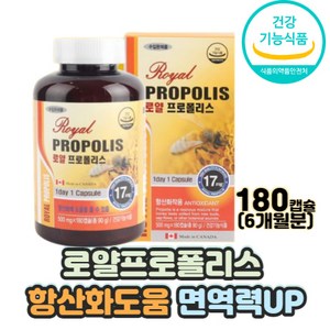 잠잘자는법 중년 프로폴리스 종합영양제 체력저하 플라보노이드 입안 수포 혀 갈라짐 피로개선 활력 건강식품 항산화 치아건강 기억력감퇴 기억력에좋은음식 구취 구강 건강 유지 관리