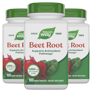 네이쳐스웨이 비트 루트 500mg 베지테리안 캡슐, 100정, 3개