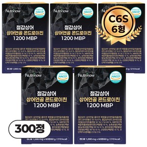뉴트리나우 철갑상어 연골 콘드로이친 1200 MBP 6형 C6S 식약청 인증 HACCP, 60회분, 5개