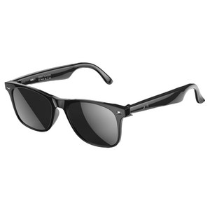 FDUCE W100 블루투스 스마트 안경 선글라스 무선 이어폰 통화 AI 번역