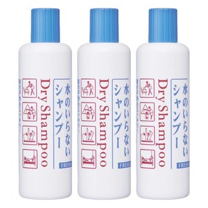 파인투데이 프레시 드라이 샴푸 보틀, 250ml, 3개
