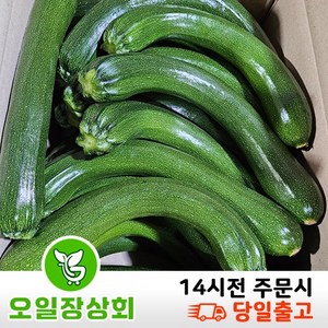 < 오일장상회 > 국내산 쥬키니호박 주키니호박 못난이호박 상등급 3kg 5kg 10kg내외, 1개, 상품10kg내외