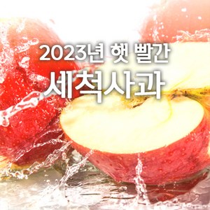 당도선별 하루한개 껍질째 먹는 경북 세척사과 의성 안동사과 개별포장 2kg 3kg 5kg 10kg, 1박스, 2kg중과 8~10과