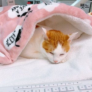 펫느 강아지 고양이 담요 이불 켄넬 방석, 회색, 1개