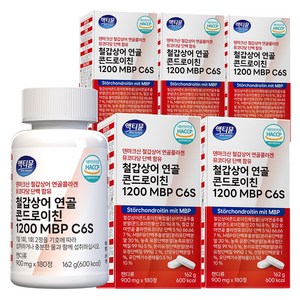 철갑상어 연골 콘드로이친 1200 MBP C6S 6형 저분자 식약청 HACCP 액티뮨, 180정, 5개