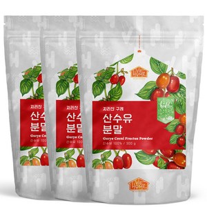 닥터비옴 구례산 100% 산수유 분말 300g x 3개