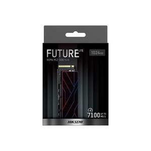 [하이크세미] HIKSEMI FUTURE Lite M.2 NVMe (1TB), 1TB