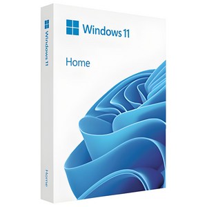 MS Windows 11 Home FPP(USB)