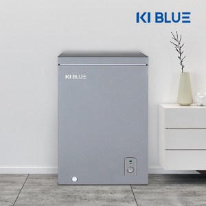 업소용 가정용 소형 미니 냉동고 100L 보존식